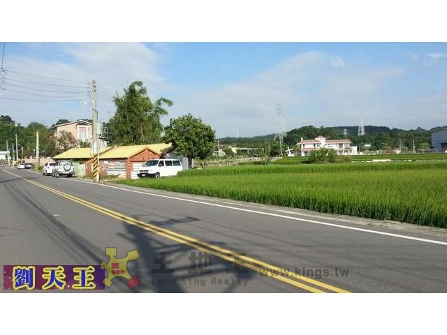 興隆大道(景觀)投資建地[pt17]