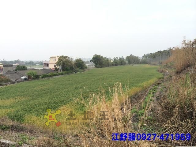 苑裡南勢林俗田[pt19]