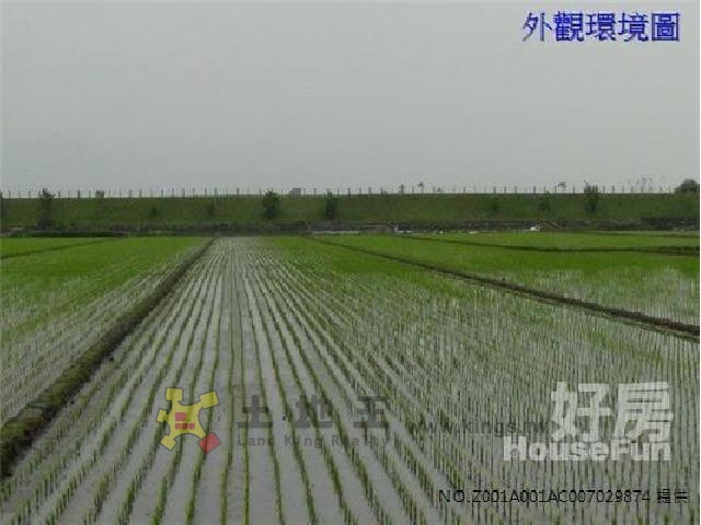 宜市延平農地[pt19]