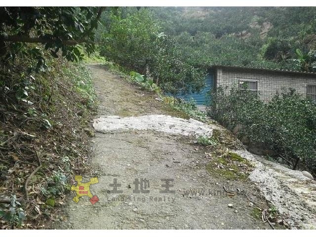 芎林鹿寮坑果園[pt17]