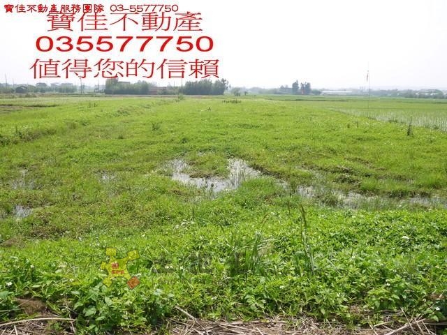 青埔子597田[pt17]