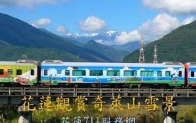 壽豐 忠孝新村農地[pt11]