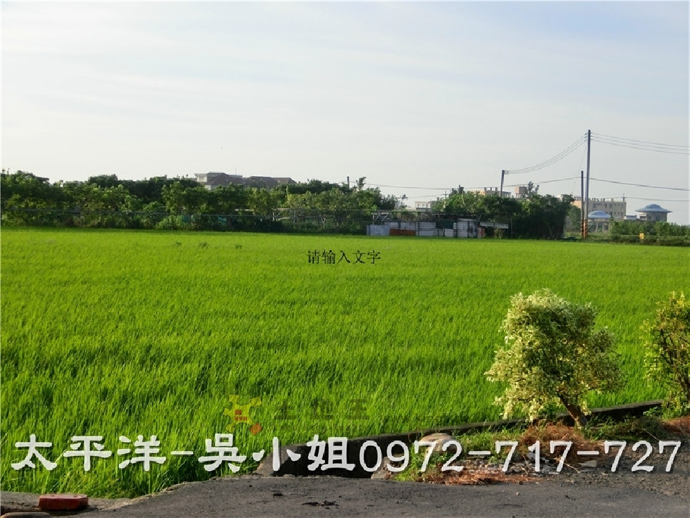 湖口農地 德盛段美田
