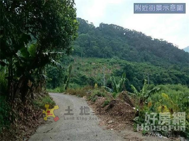 台9線旁農地[pt17]
