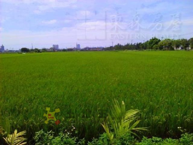 宜蘭市北津農地[pt28]