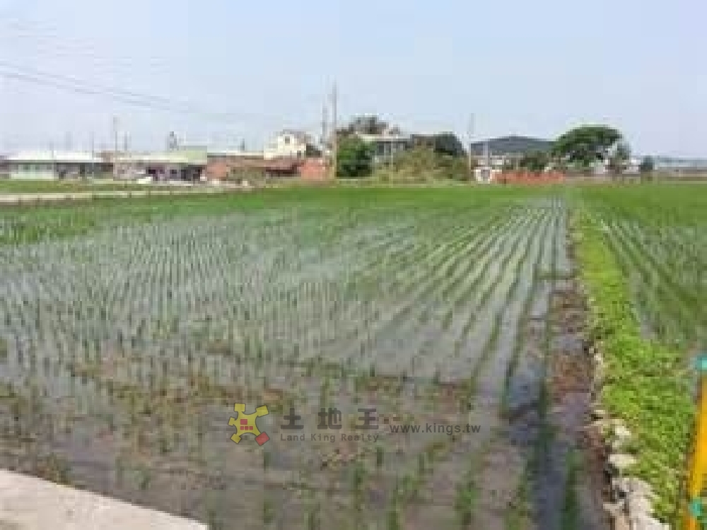 湖口  新湖路角田
