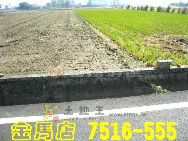 東區一期田地[pt21]