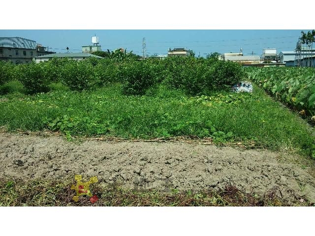 U010-公館田
