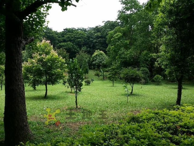 枋寮國小朝南景觀地