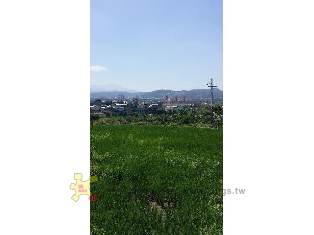 芎林超美景觀田