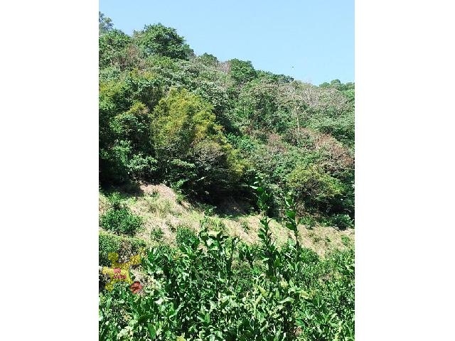 鹿寮坑休閒地