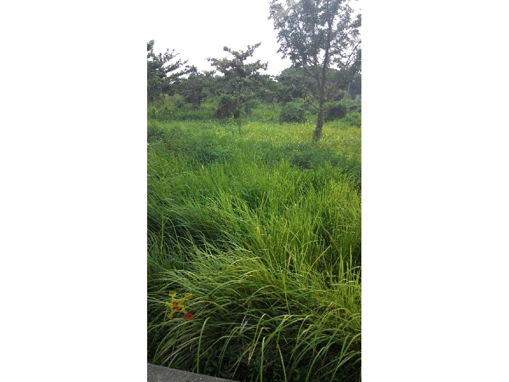 官田好林地