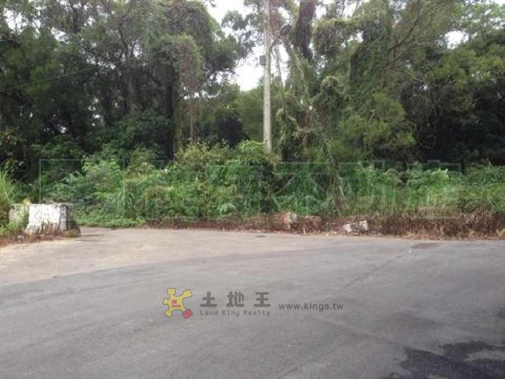 林口農地[pt19]