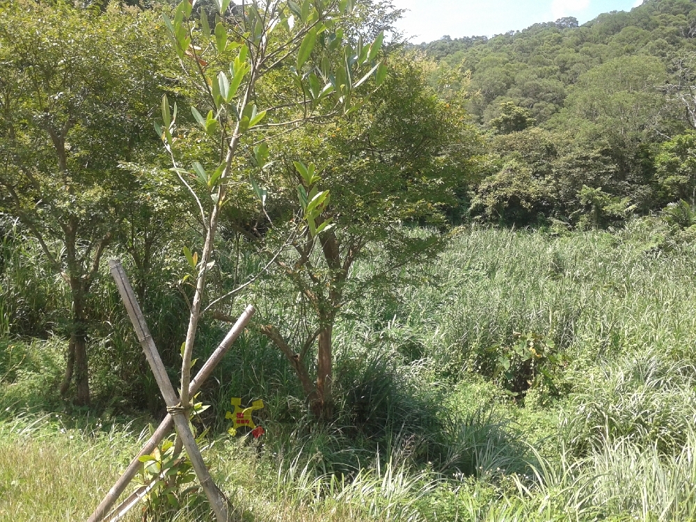 峨眉珊瑚休閒地