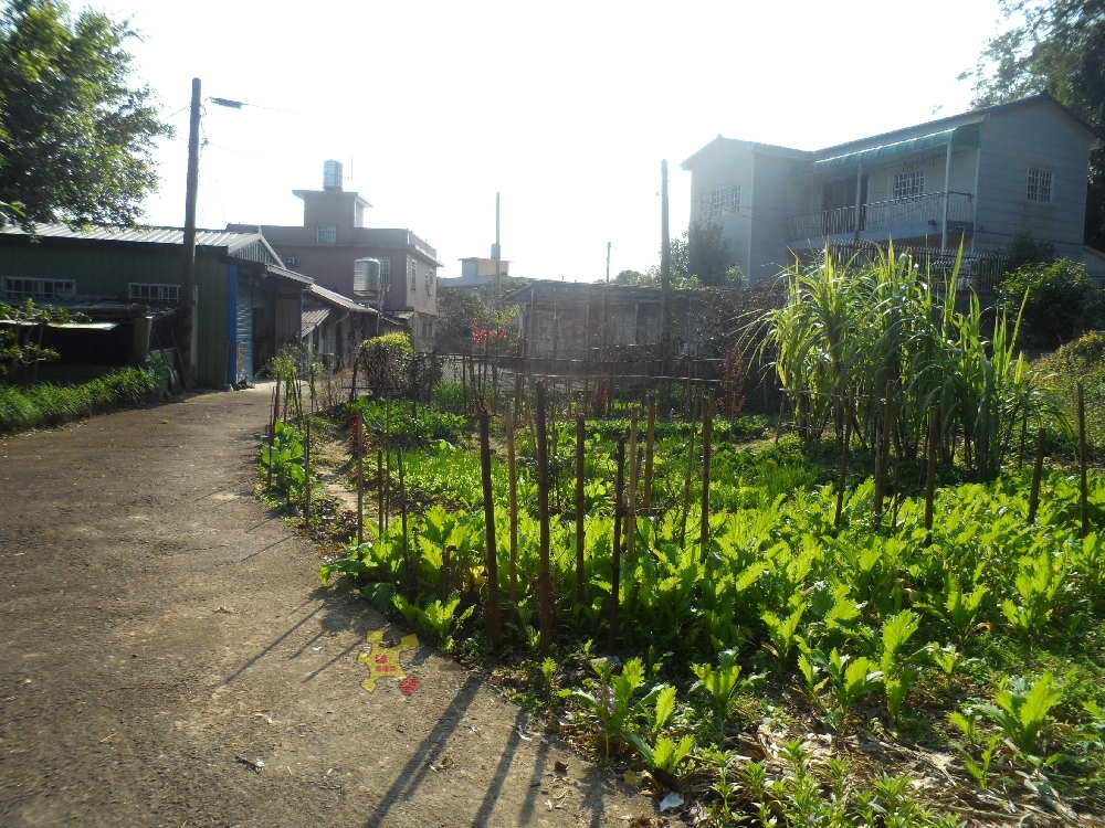 南湖果園+建地
