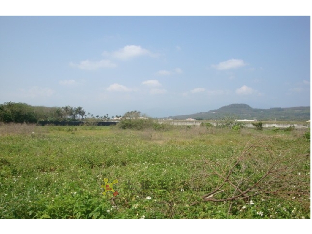 N030富岡大農地