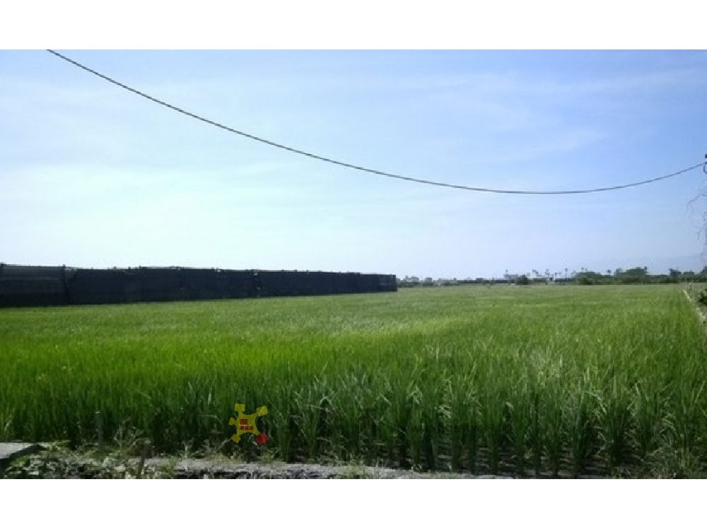 N034豐源便宜農地