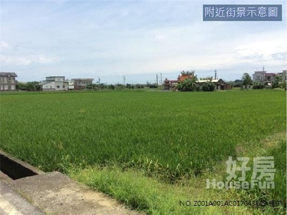 海天醫院旁足坪農地[pt19]