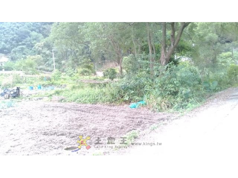 橫山油羅平坦田[pt23]
