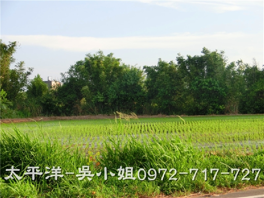 新竹配建農地 湖口配建農地 666坪
