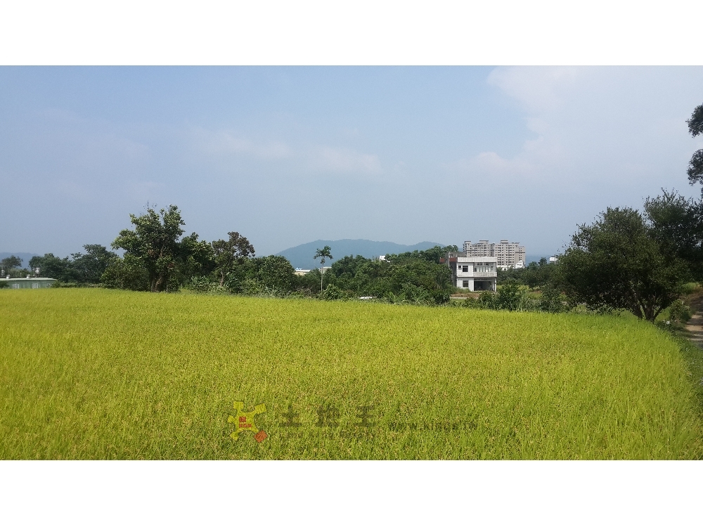 二重國中美田-環球不動產