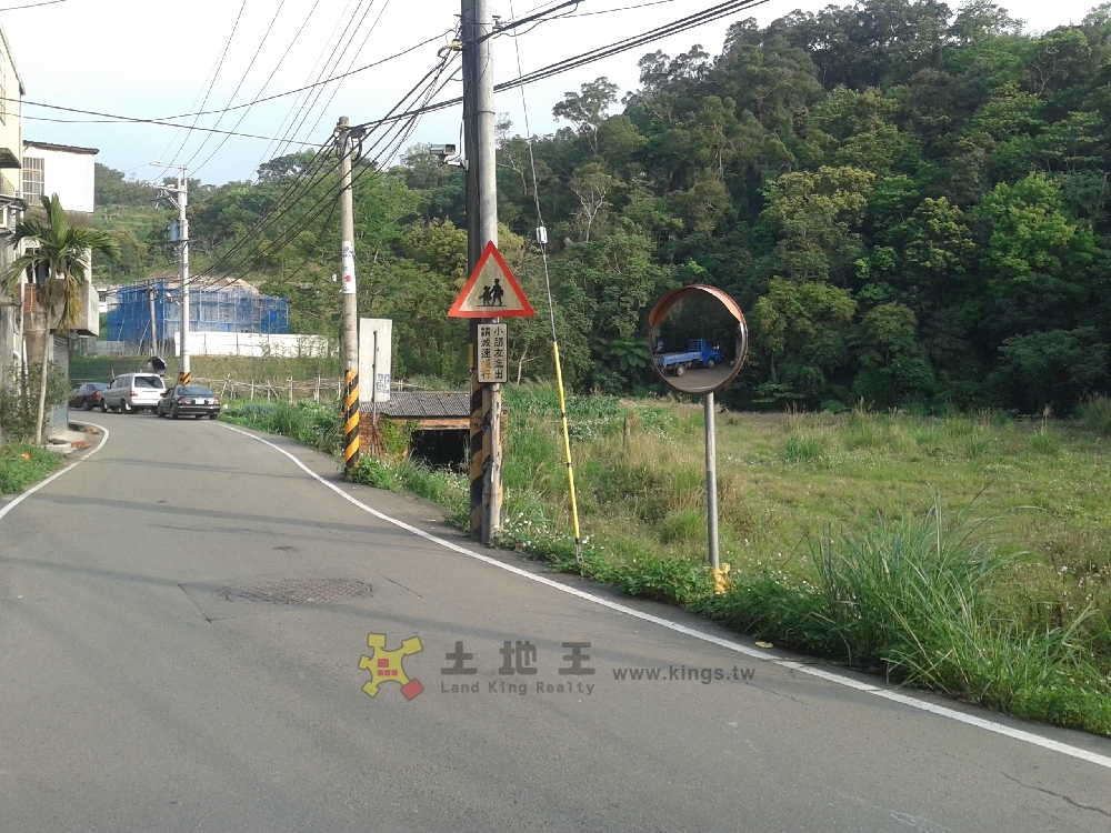 中坑臨路平坦田-環球不動產
