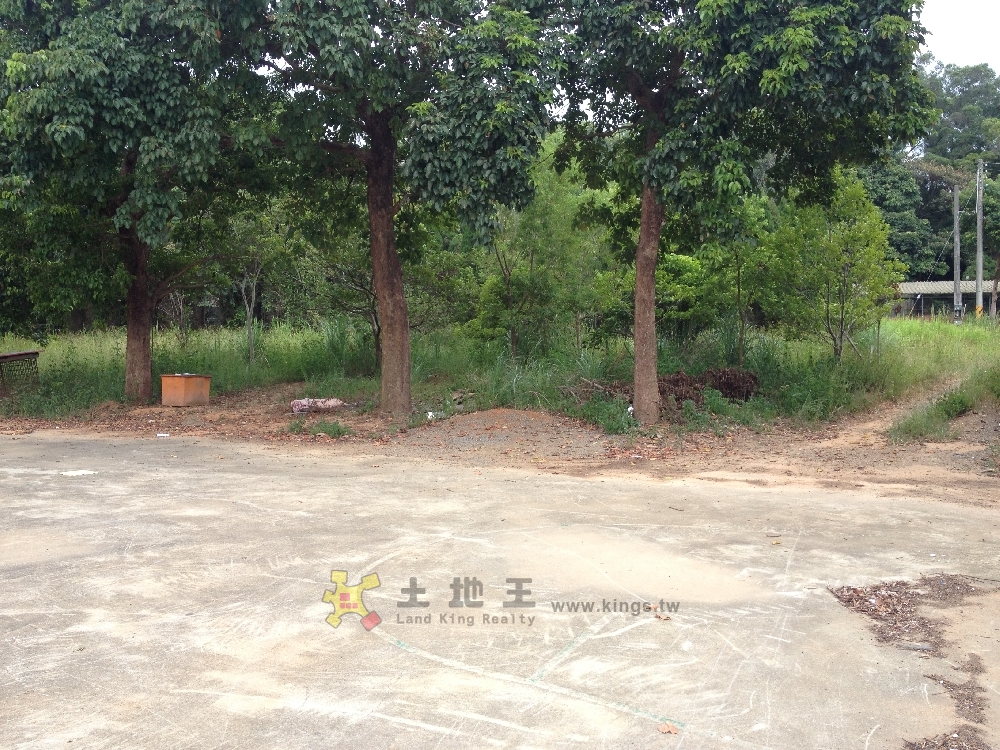新埔下旱坑農地