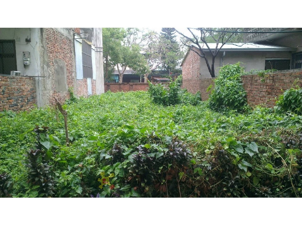 Y019-苗市美建地