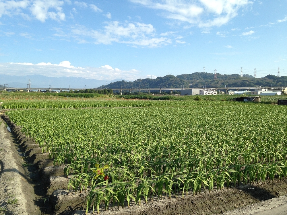 啟心田533坪+建地90坪