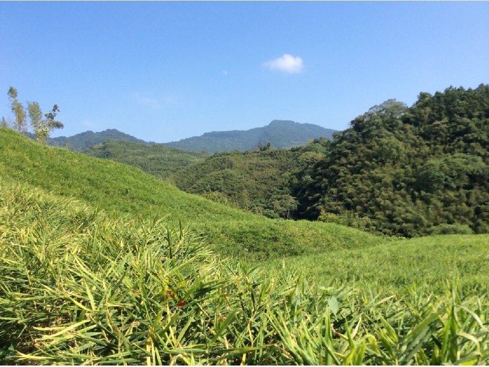 大湖寶地