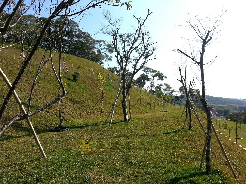 通霄福源山莊休閒地