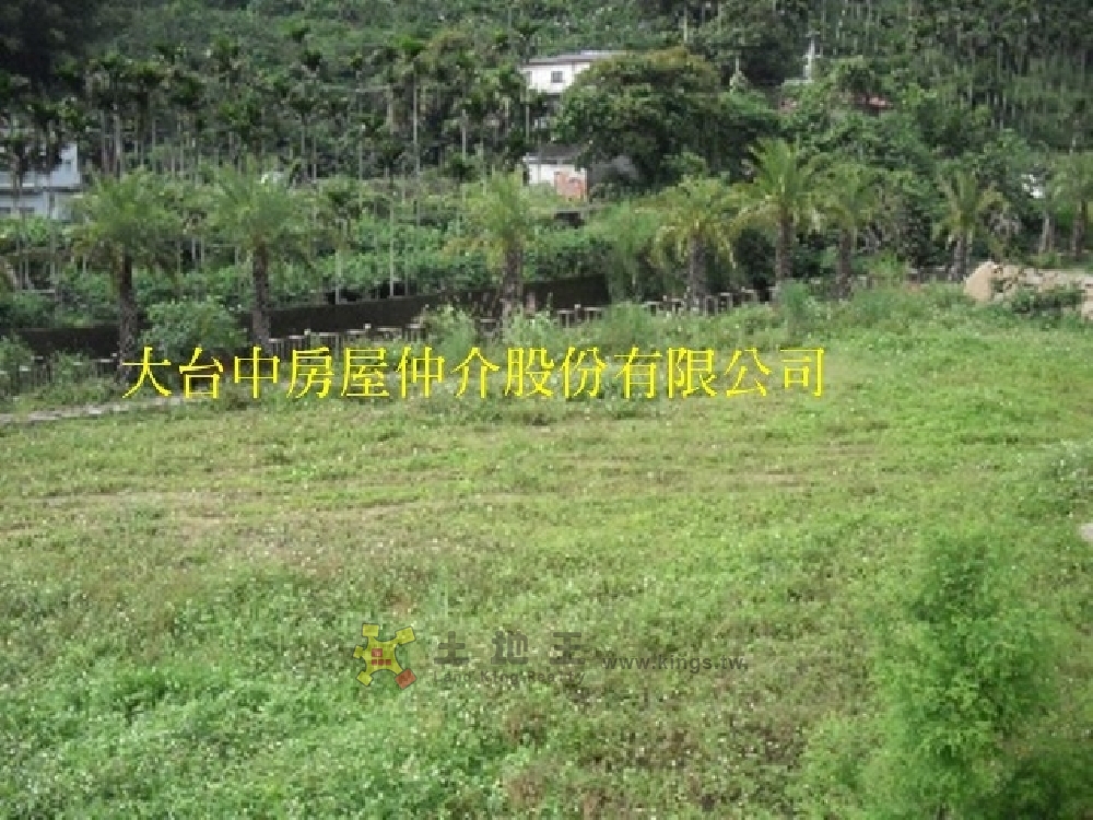 1463東勢天公廟旁農舍地