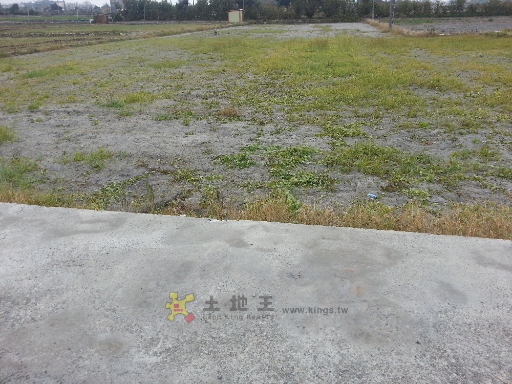  苑港旺田