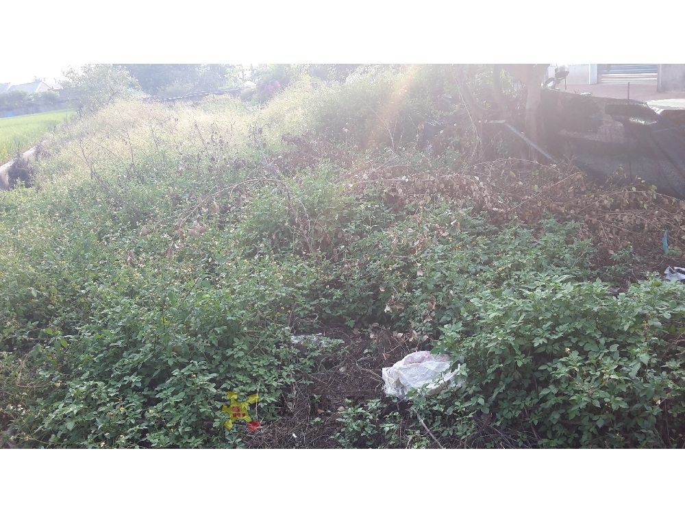 玉山小巧農地