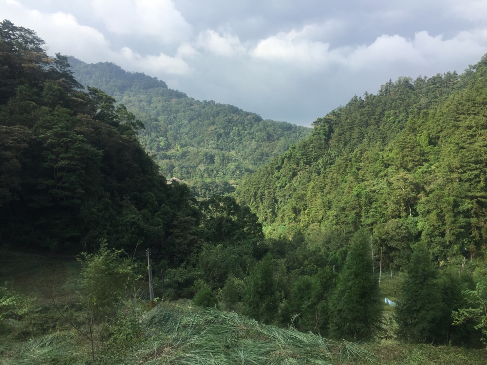 竹東七星級露營休閒地B區