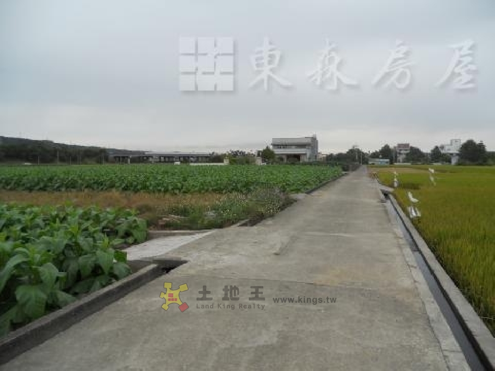 草屯.南投.中興新村~碧興路美田