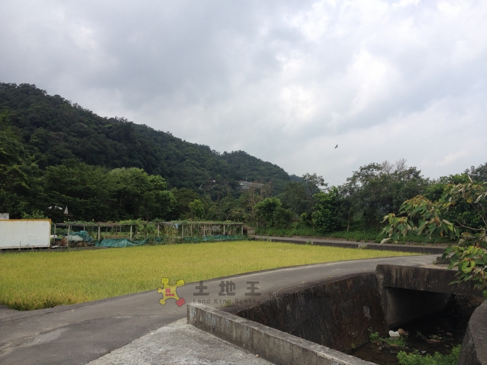 海埔農地