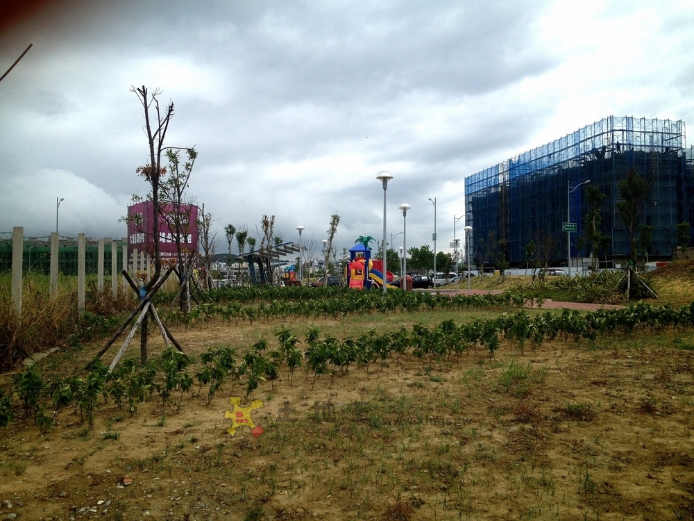 苗栗大埔建地數筆