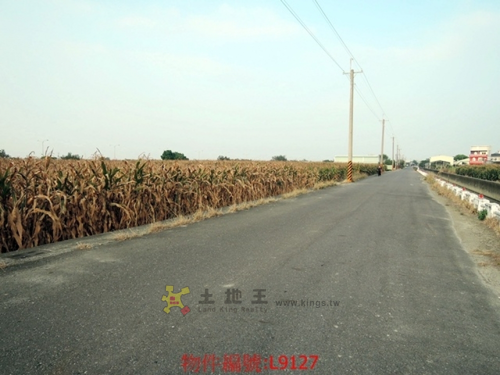 下營區 下營國小超值512農地 雙面臨路0936252225