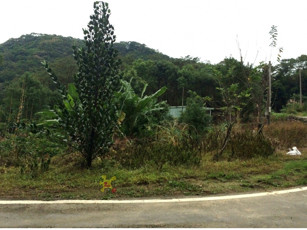 白雞休閒農地