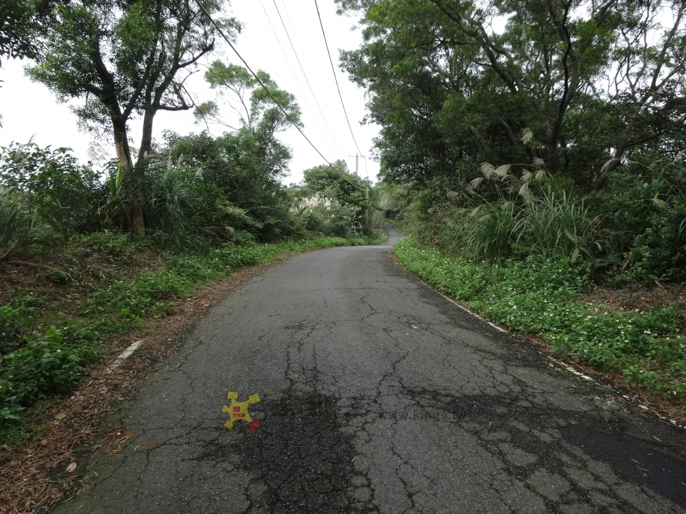 臨馬路4000坪方正優質農地