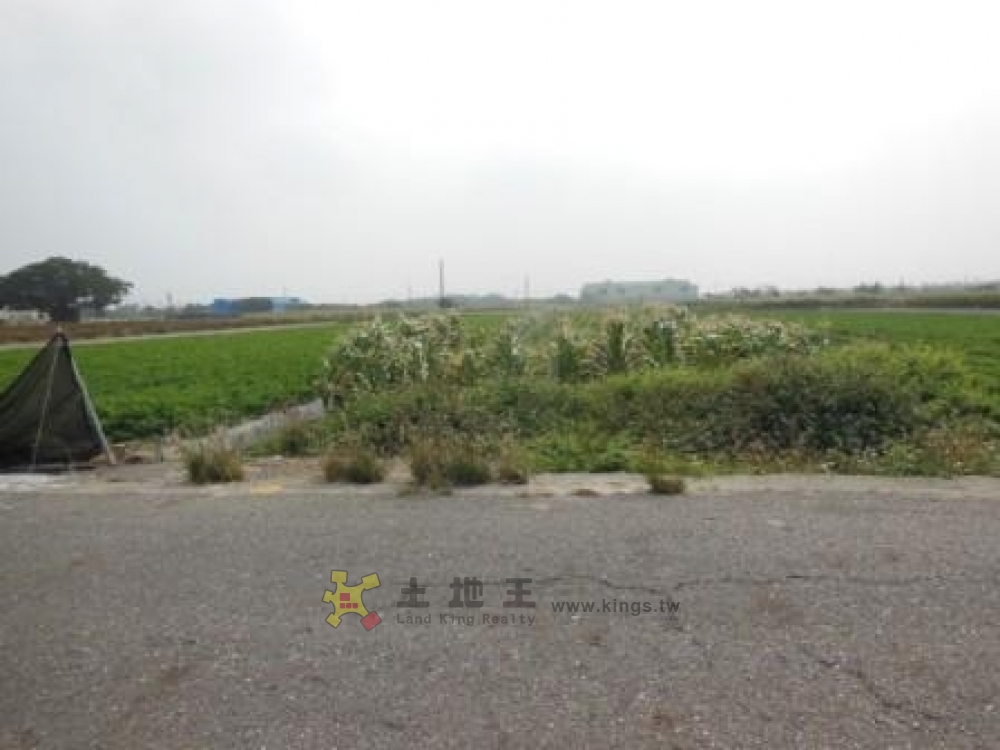 將軍巷口農地A