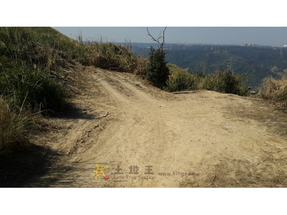 樹林大同山山坡地
