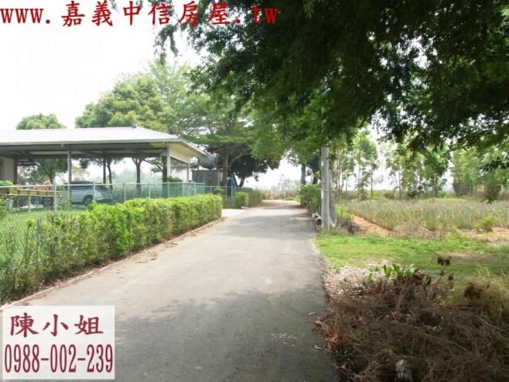 嘉義民雄農地松山村近中正大學