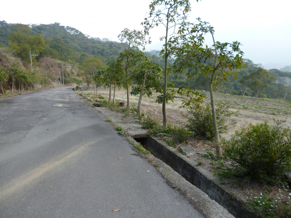 三峽辭修工業地570坪 0903-835-270王r.