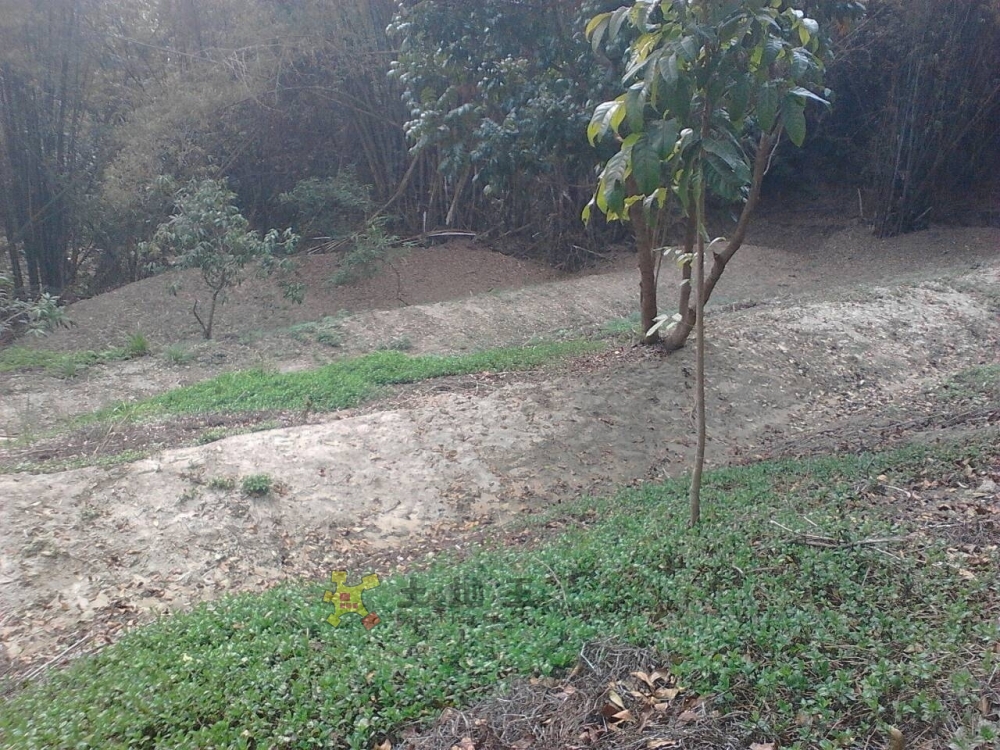 大坑農場旁休閒農地