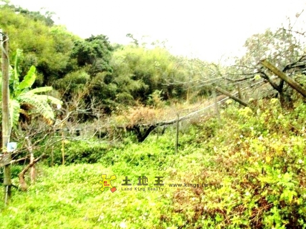 南湖梨園