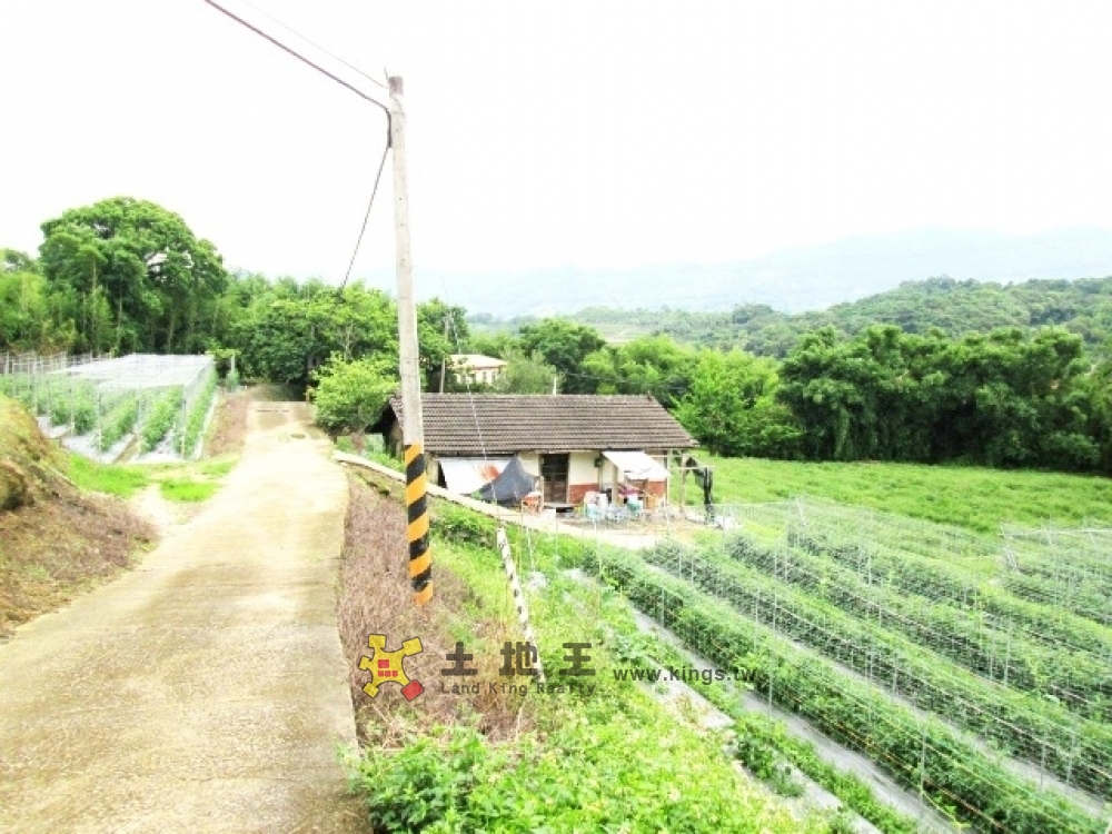 南湖田+建