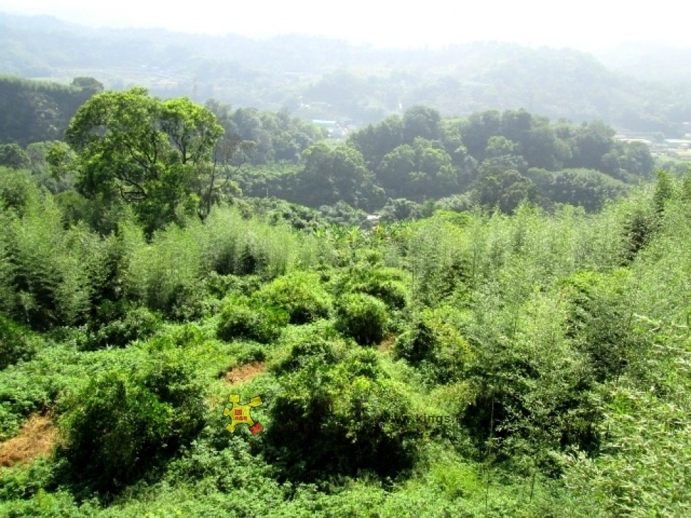 南湖景觀地