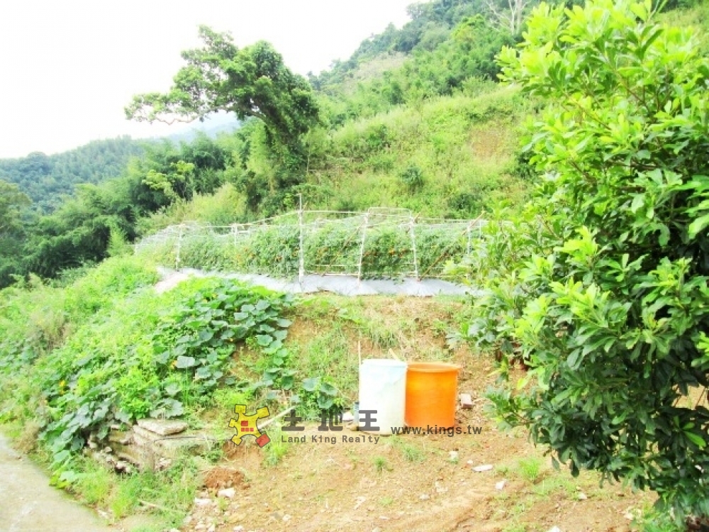 泰安景觀地